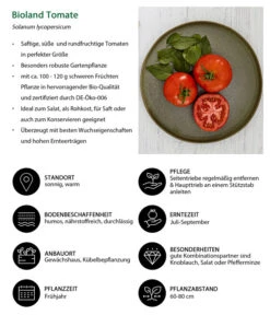 Bioland Tomate, Rundfruchtig -Gartenbedarf Verkäufe 2024 8842619 WE IG 001 BiolandTomate