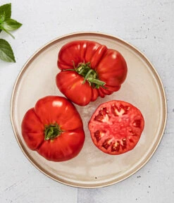 Bioland Fleischtomate -Gartenbedarf Verkäufe 2024 8842627 WE MO 001 BiolandFleischtomate