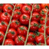 Bioland Cherrytomate 2 Bioland Cherrytomate -Gartenbedarf Verkäufe 2024 8842635 WE DE 001 Bio Cherrytomate