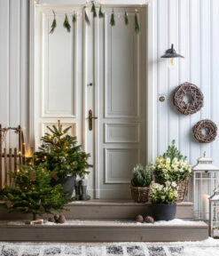 Dehner Kranz Weinrebe Frost, Ca. Ø48 Cm -Gartenbedarf Verkäufe 2024 8996100 8014870 8014557 8014722 8014847 WE MO 001 AbiesNordmannianaHolzkreuzWeihnachtsbaeume 1