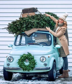 Nordmann-Tanne, Ca. 100-150 Cm, Gesägt -Gartenbedarf Verkäufe 2024 8996480 WE MO 001 AbiesNordmannianaTitel