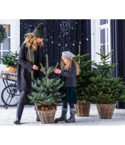 Stech-Fichte, Ca. 80-100 Cm, Im Topf Gewachsen 6 Stech-Fichte, Ca. 80-100 Cm, Im Topf Gewachsen -Gartenbedarf Verkäufe 2024 8997504 WE MO 001 PiceaPungens60bis80cm GC19 2021