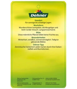 Stechpalme 'Heckenstar' 9 Stechpalme 'Heckenstar' -Gartenbedarf Verkäufe 2024 AmerikanischerIlexHeckenstar Etikett 2