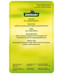 Blasenspiere 'Tiny Wine' -Gartenbedarf Verkäufe 2024 BlasenspiereTinyWine Etikett 2