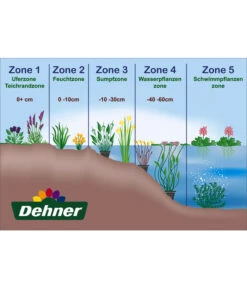 Zypersegge - Scheinzypergras-Segge -Gartenbedarf Verkäufe 2024 WE DE 001 Teichzonen Wasserpflanzen Schild 2
